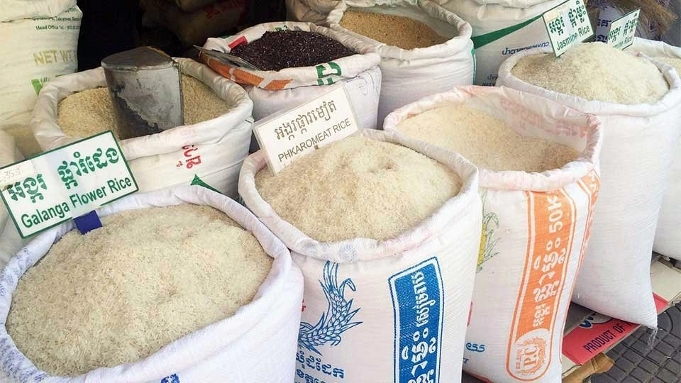Rising exports, global renown fuel rice sector
